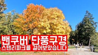 캐나다 밴쿠버 가을, 스탠리파크를 걸어보았습니다, 요즘 캐나다에서 느끼는 것들,