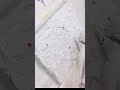生クリームみたいな絵の具