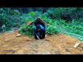 Complete the underground hut - survival instinct | ep 111