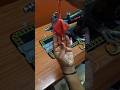blauj latkan dizayen ||easylatkan#beautifullatkan #shortsfeed #shortvideo #stitching #latest