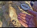 Акульи зубы в Рязанской области/Shark tooth hunting in Ryazan region