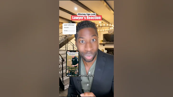 Driver Uses Mannequin to Flip Off Cop-Then Gets Pulled Over! Was It Legal? Attorney Ugo Lord Reacts!