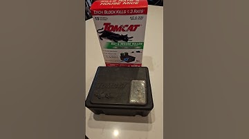 REVIEW: Tomcat Rat & Mouse Killer Child & Dog Resistant, Refillable Station for Indoor and Outdoor