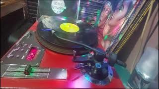 J T And The Big Family – Foreign Affair -Reggae Style Mix 12'' VINYL 1990