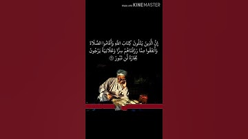 سورة فاطر آية 29