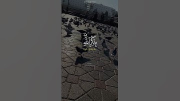 سورة الرعد آية ٢٨ القارئ عبدالرحمن مسعد