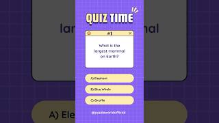 Quiz Time - 3 | Comment below with your answer #quiz #riddles #puzzles #brainteasers screenshot 4