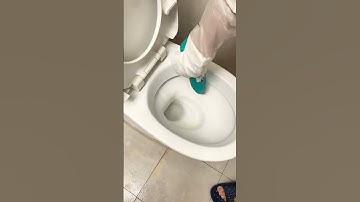 Nước tẩy bồn cầu Logeski dành cho người lười như tui 😁 #nhanadunggi #nhacobena #nuoctayboncau #nuo