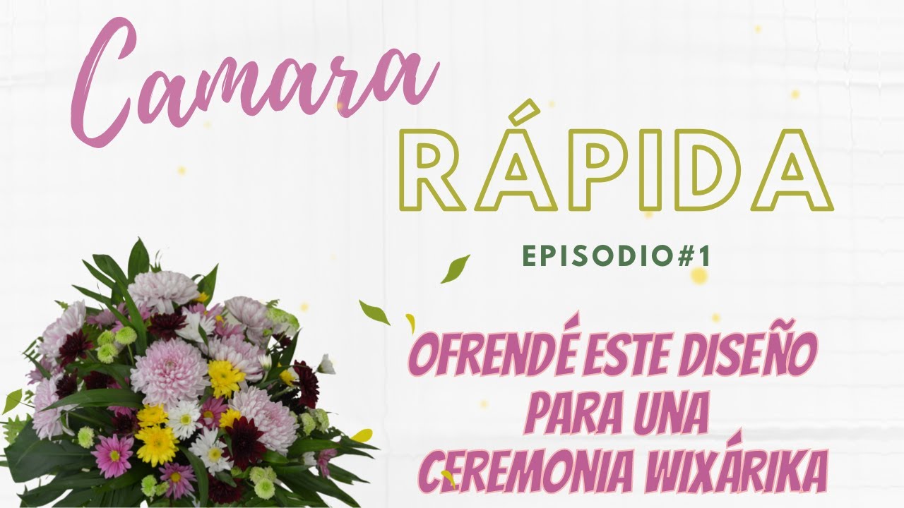 Floristería Básica | 🎥 ¿Cómo hacer un arreglo floral? - Cámara Rápida #1 🎥