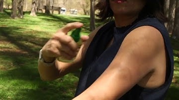 Mosquitoes bugging you? These are Consumer Reports’ top-tested insect repellents