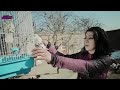 لاتشلوني ولا تتركوني سلم قلبي لمن هم يحبون 
