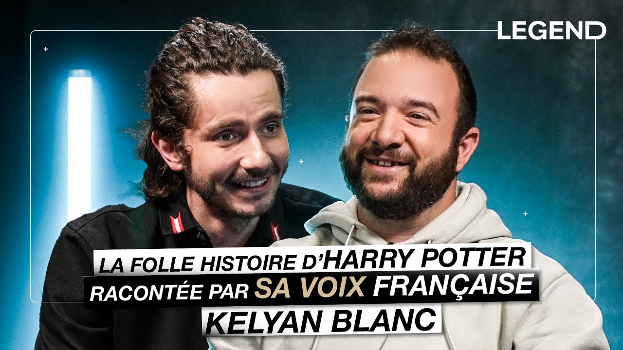 LA FOLLE HISTOIRE D'HARRY POTTER RACONTÉE PAR SA VOIX FRANÇAISE, KELYAN