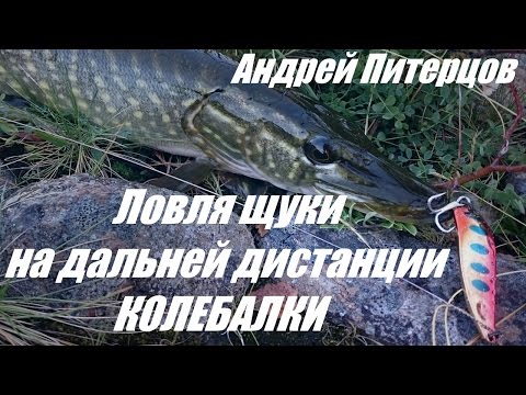 Ловля щуки на дальней дистанции. Ловля на колеблющиеся блесны.