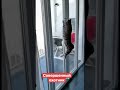 Совершенный охотник, пока ты с газетой бегаешь и не попадаешь по мухе