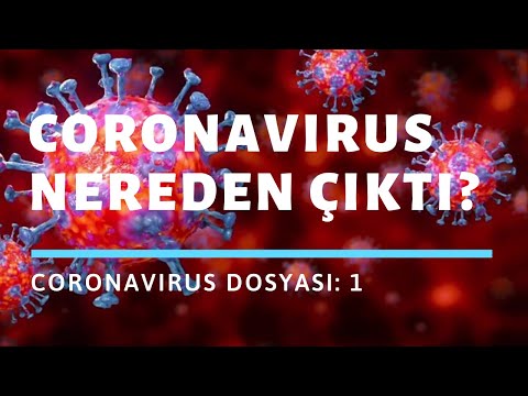 CoronaVirüs Dosyası - 1: Nereden çıktı bu virüs?