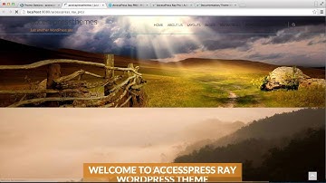 AccessPress Ray Pro - How to Enable Sticky Header, Change Header Layout, Others | WordPress Tutorial