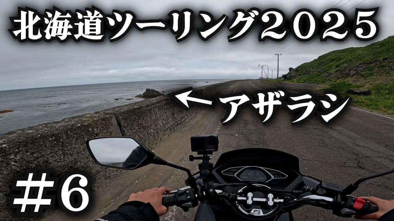 野生のアザラシが浮いてた【北海道ツーリング2025】６日目