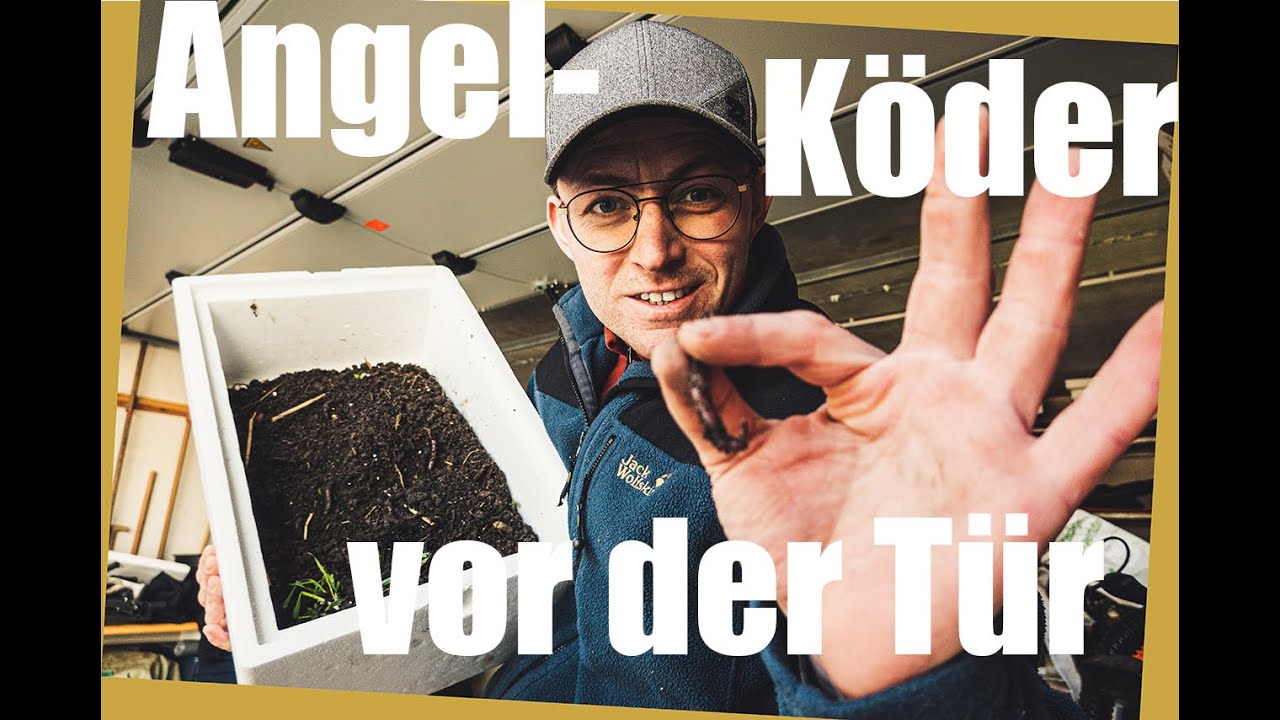 Angel-Köder vor der Tür | Würmer zum Feedern angeln | Würmer züchten zu Corona Zeiten