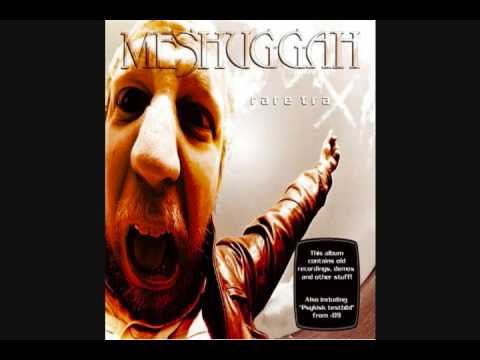 Meshuggah - War