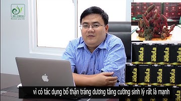 CHIA SẺ CỦA CHUYÊN GIA VỀ TỎA DƯƠNG ADULA - TĂNG CƯỜNG SINH LỰC PHÁI MẠNH NHỜ NẤM TỎA DƯƠNG