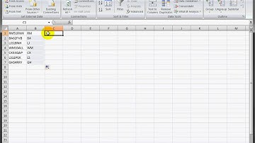 Advanced ECDL in Excel 2007: Splitting Columns