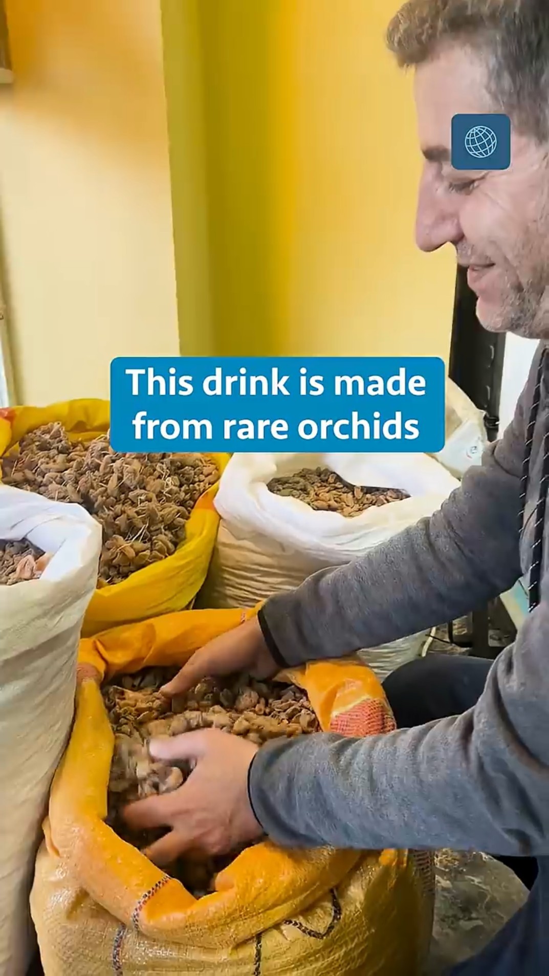 Would you try this rare orchid drink? - YouTube