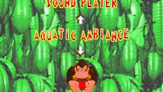 Donkey Kong Country - </a><b><< Now Playing</b><a> - User video