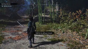 AC Shadows: How to Ride a Horse