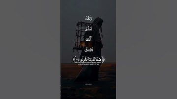 تلاوة القرآن الكريم بصوت القارئ احمد شعبان #قرآن #قران_كريم #المصحف
