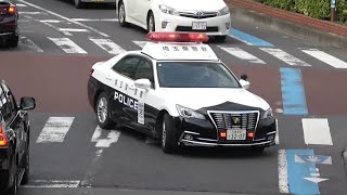 ネズミ捕りでヒットマンに撃墜されたハイエースの輩がキレた!!一時不停止で捕まったスイフトが免許証の提示を拒否して逃走!!首都高目前で白バイに捕まるアルファードの悲しい結末!!完璧なタイミングの歩行者妨