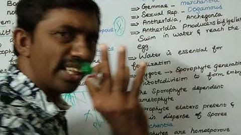 General characteristics features of Bryophytes