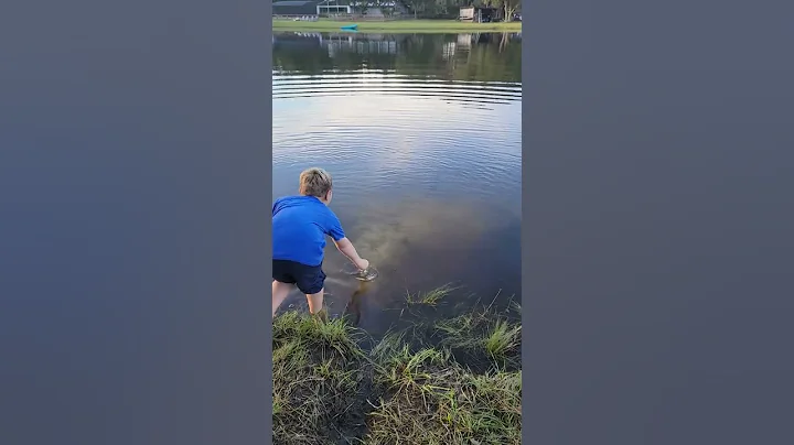 big bass feeding