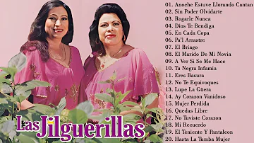 Las Jilguerillas || Puras Pá Pistear ~ Sus Mejores Canciones || 30 Exitos Mix ~ Corridos Y Rancheras