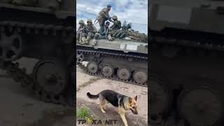 🇺🇦 Glory to Ukraine and it's Soldiers 🇺🇦 | Self record #ukrainewar #shorts