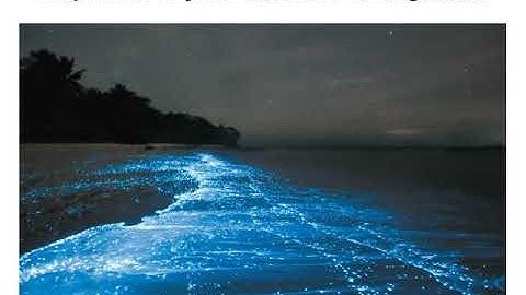 Chapter 8 Enzyme function and regulation