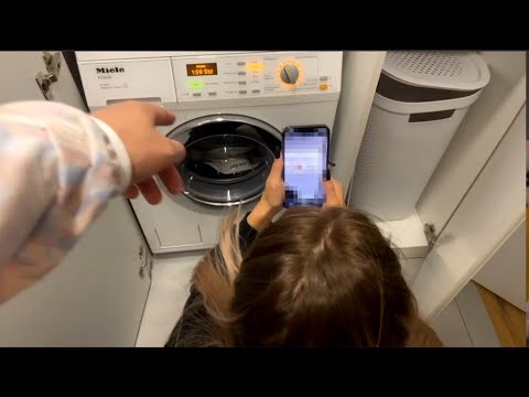 застряла в стиралке