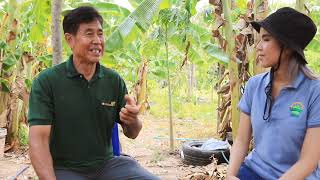 ความสุขของสมาชิก สุนทร ไทรจำเนียร วสช.รวมพลังสร้างอาชีพวัดประดู่ จ.สุราษฎร์ธานี