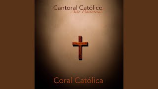 Video thumbnail of "Coral Catolica - Perdón Señor"