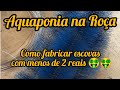 Como fábricar escovas biologicas por menos de R$ 2,00😱😱(1)