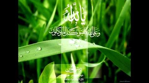 تلاواة رائعة لسورة الضحى