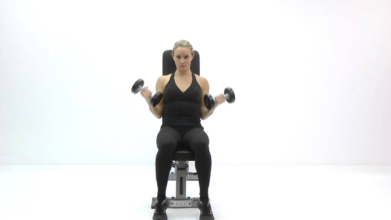 Dumbbell Seated Bicep Curls Underhand Grip YouTube