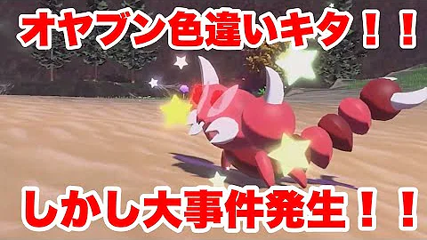 アルセウスドンカラス親分色違い
