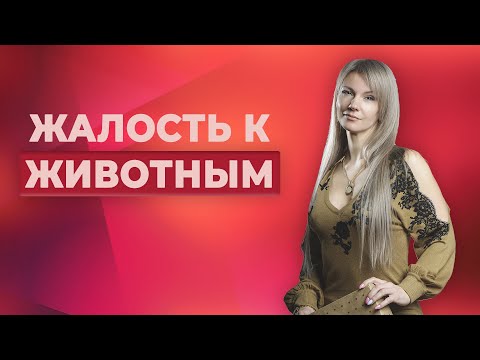 Слишком жалко животных / Неврозы - что с ними делать?