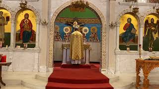 2020-0412 St. Stefanos - Palm Sunday
