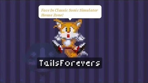 Face In Classic Sonic Simulator House Zone!