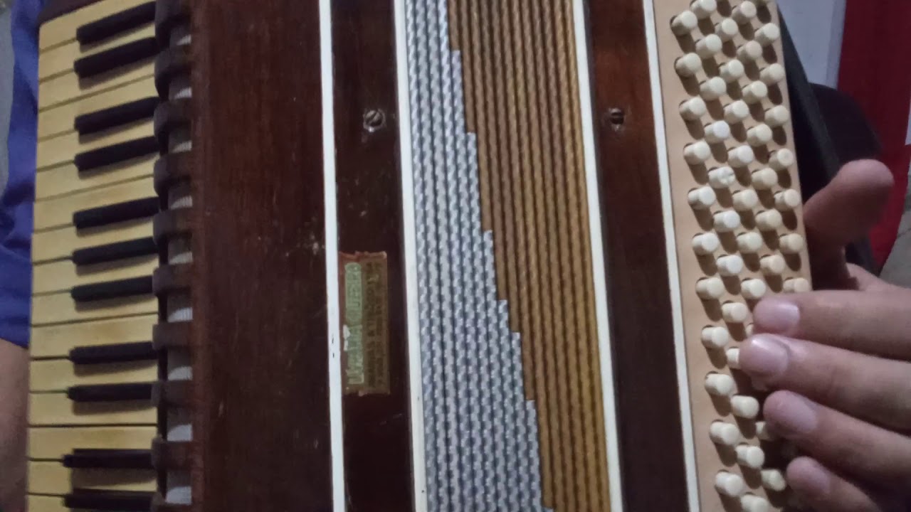 Solo AS ANDORINHAS simples e bem detalhado