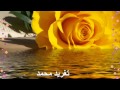 عبد المنعم حسيب كل ما سالت عليك صدوني حراسك عبد المنعم حسيب كل ما سالت عليك صدوني حراسك