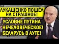 НЕЧЕЛОВЕЧЕСКОЕ УСЛОВИЕ ПУТИНА - ЛУКАШЕНКО ПОШЁЛ НА СТРАШНОЕ! БЕЛОРУСОВ СЧИТАЮТ КРЫСАМИ?!