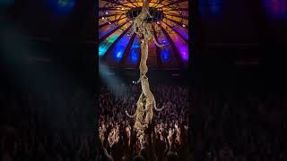 Download Lagu Leopards performing circus| people watching surrounding clapping hand #animals #circus #viral MP3 Download Lagu Leopards performing circus| people watching surrounding clapping hand #animals #circus #viral MP3