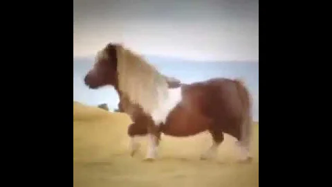 Making my way Downtown   Funniest Best Vines Logan 6mRHo3f7bC0